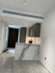 Leedon Green (D10), Condominium #564582011